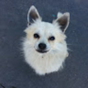 Meet your Posher, Cece